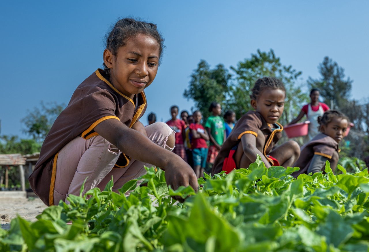 Young girl is bent down working in a school garden with her peers behind her.