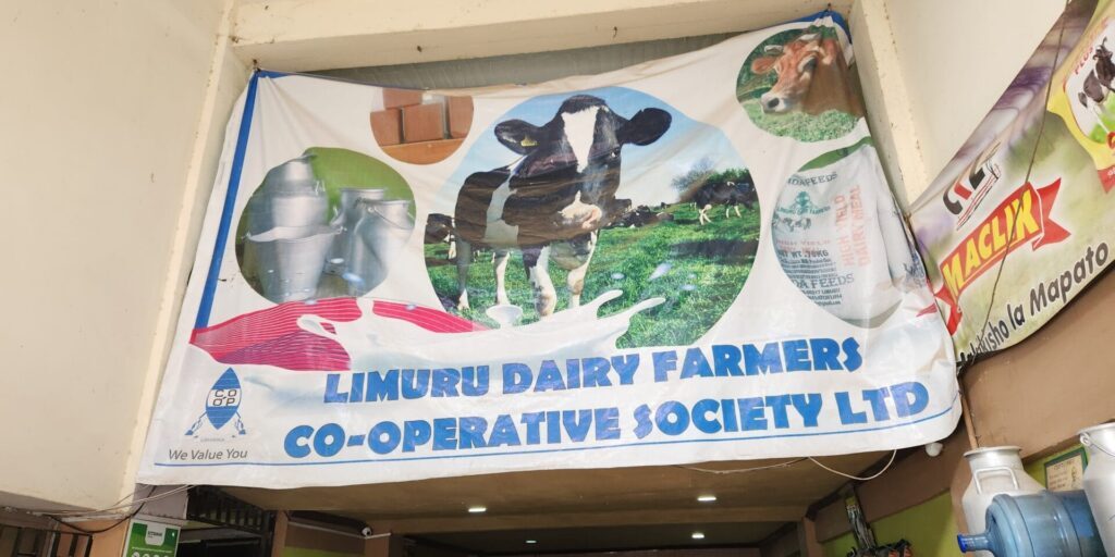 Kenya_case_study_dairy_farmers